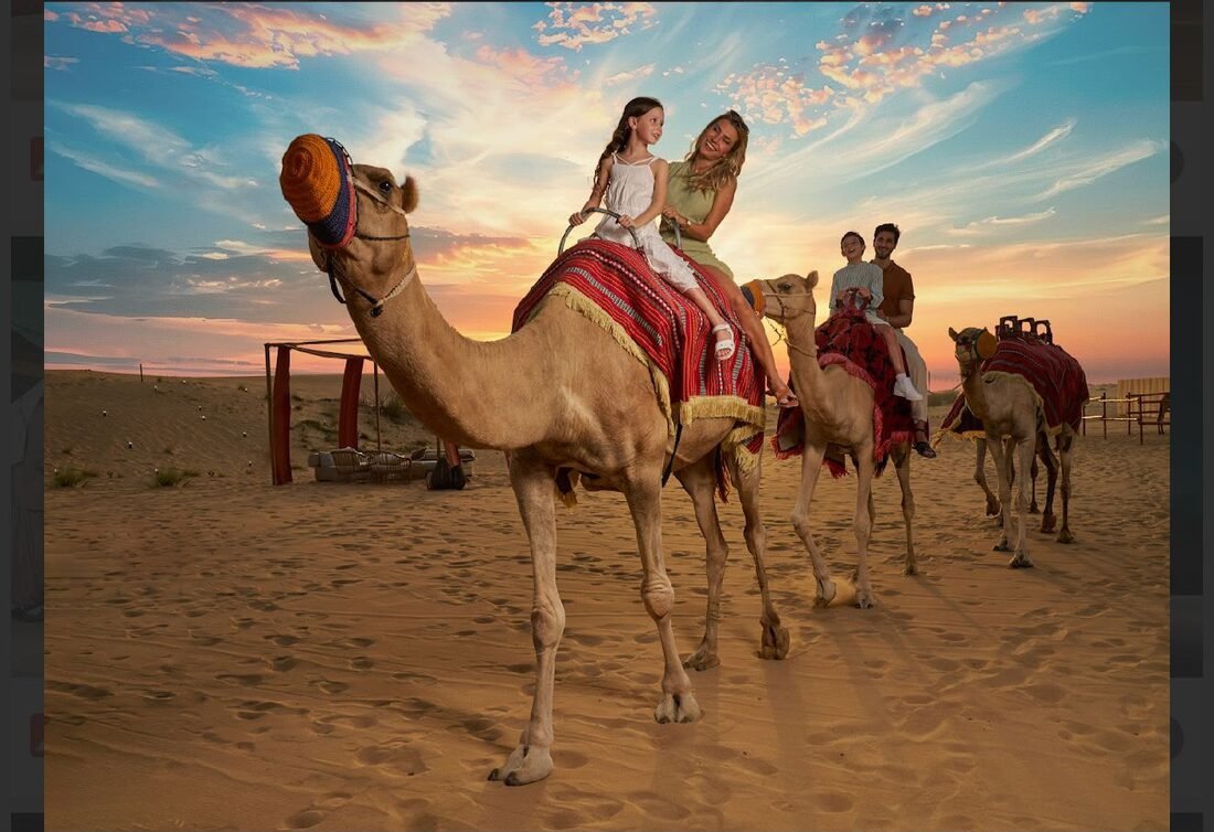 Safari without Dune Bashing — Gentle Rides, Private Car