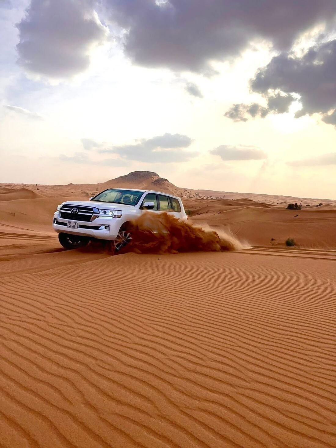 Halfday Morning Desert Safari without Dinner & Shows