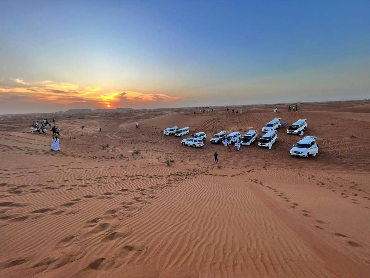 Morning vs Evening Desert Safari: Which Should You Choose?